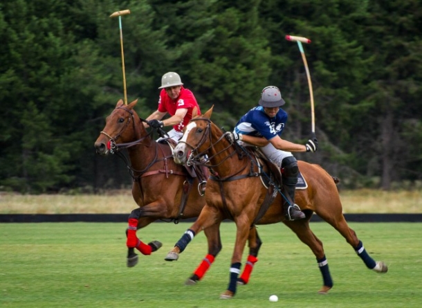 Abierto de Polo en Tortugas Country Club